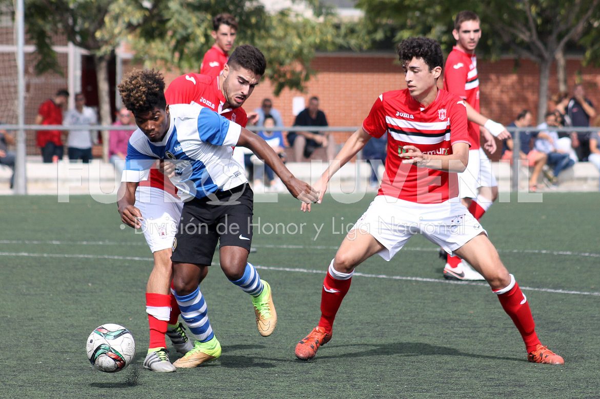 Pocas sorpresas tras la séptima jornada