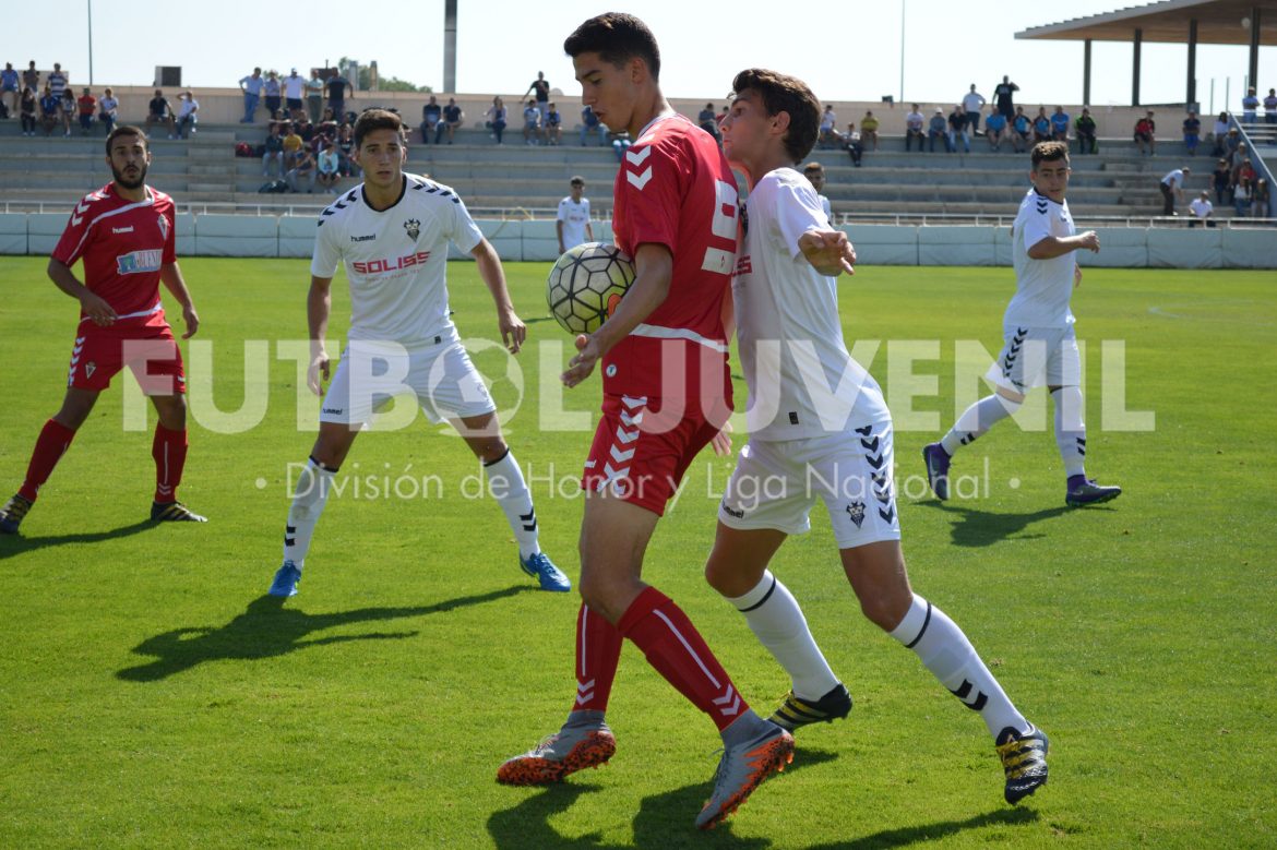 Los favoritos se mantienen enchufados